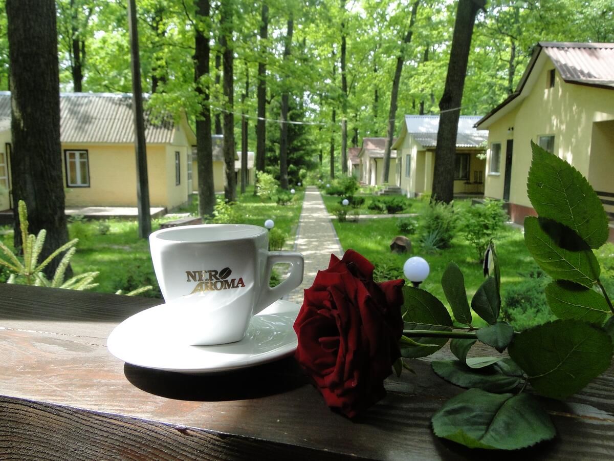 Загородные дома Дубравушка Club Фастов